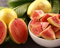 Armazenamento correto da goiaba: o que fazer e o que não fazer para que a fruta fique fresca pelo maior tempo possível