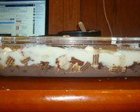 Pavê de Bis bicolor