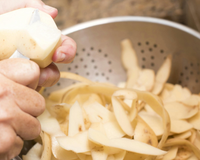 Parei de jogar fora as cascas de batata depois que descobri no TudoGostoso como elas podem ser úteis no crescimento das plantas
