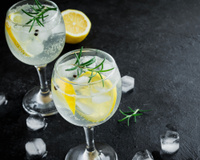Gin tônica perfeita: veja as dicas e a receita fácil e refrescante