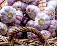Coloquei um dente de alho no jardim e as minhas rosas nunca mais foram as mesmas