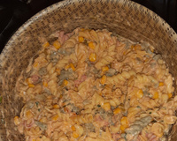 Macarrão com atum e creme de leite rápido