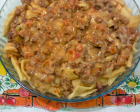 Macarrão com calabresa e requeijão - rapidinha