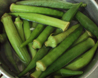 Caruru paraense simples