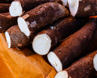 Como escolher a melhor mandioca na feira ou no mercado para fazer pratos deliciosos