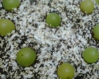 Cobertura de chocolate