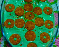 Pavê de limão simples