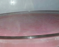 Mousse fácil de morango