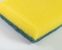 Eu aposto que você não sabia! É assim que você deve guardar suas esponjas para evitar a proliferação de bactérias