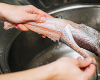 Todas as postas de peixe são limpas à mão, sem faca nem água fervente: método espanhol que mantém a cozinha sempre limpa e funciona de verdade