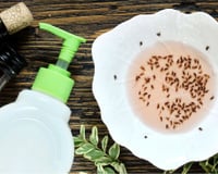 Armadilha com vinagre é perfeita para deixar as moscas longe da sua casa