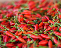 Tipos de pimentas: descubra qual é a mais ardida