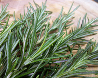 Nada de comer! A solução pra melhorar a memória em 75% é cheirando essa erva aromática, revela estudo recente