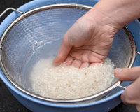 As embalagens dizem que não precisa lavar o arroz, mas os chefs discordam! Afinal, é melhor lavar ou não?