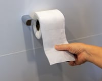 Adeus ao papel higiênico: as novas alternativas mais limpas, baratas e ecológicas