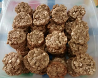 Biscoitos de aveia simples