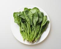 Nem rúcula, nem couve: essa é a planta que vai durar o ano inteiro na sua horta