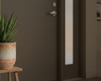 O que significa colocar uma babosa na porta de entrada da sua casa, segundo a tradição chinesa