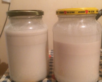 Leite de coco caseiro