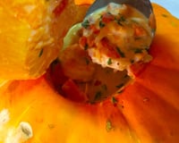 Camarão na moranga no micro-ondas