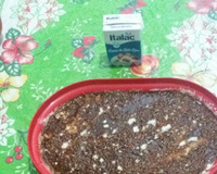 Manjar de leite condensado e coco