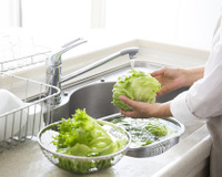 Como conservar a alface fresca por mais tempo