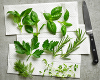 Como reaproveitar os talos das ervas: 4 formas simples e saborosas