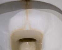 Esqueça a água sanitária e a soda: TudoGostoso mostra o truque dos pedreiros para limpar o vaso sanitário