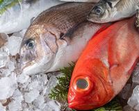 Poucos sabem, mas esses são os sinais que você deve procurar em um peixe fresco de boa qualidade