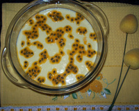 Mousse de maracujá consistente