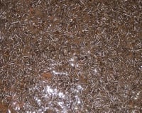 Bolo fofo de chocolate