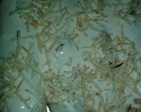 Panqueca de frango diferente