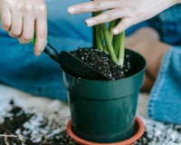 O vaso de planta feito de plástico ficou para trás: essa tendência é mais eficiente, melhora a drenagem e favorece o crescimento