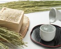 Quando o lixo se torna um tesouro: estudo mostra que subproduto obtido a partir da fermentação do arroz pode virar um superalimento