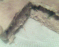 Empadinha de frango do Valdir