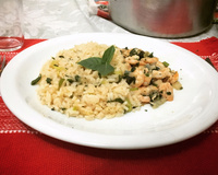 Risoto de alho-poró com camarão à provençal