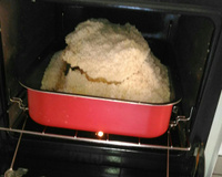 Costela no Sal Grosso