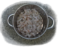 Camarão que rende à la Daninha