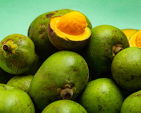 Você conhece o pequi? Aprenda o que é e como cozinhar essa fruta típica do cerrado