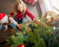 Ansioso para o Natal? Árvore de Natal de 1,80 m está com desconto na Amazon