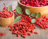 Goji berry: para que serve, benefícios, receitas e tudo que você precisa saber sobre a fruta poderosa para a saúde