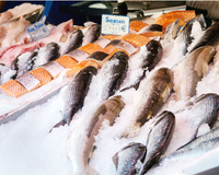 Melhor que salmão: clientes inteligentes optam por uma alternativa mais barata no supermercado