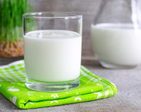 O que são e para que servem os lactobacilos