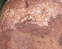 Bolo de chocolate (super fácil e rápido)