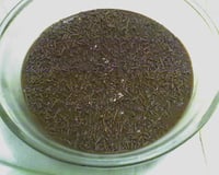 Mousse de brigadeiro