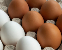 Ovos marrons ou ovos brancos: eis a origem da diferença de cor e por que seus preços variam