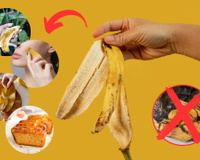 Quem joga cascas de banana no lixo está descartando um tesouro; entenda por quê