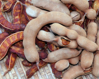 Saiba mais sobre o tamarindo: benefícios e como utilizar