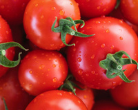 O médico Camilo Echeverri disse: "Coma um tomate por dia e você verá todas as mudanças que ocorrerão em seu corpo."