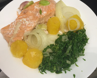 Posta de filé de salmão à Santa Teresa